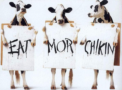 Rare Chick-fil-A Eat Mor Chikin U Wanns Peace of Me Chicken